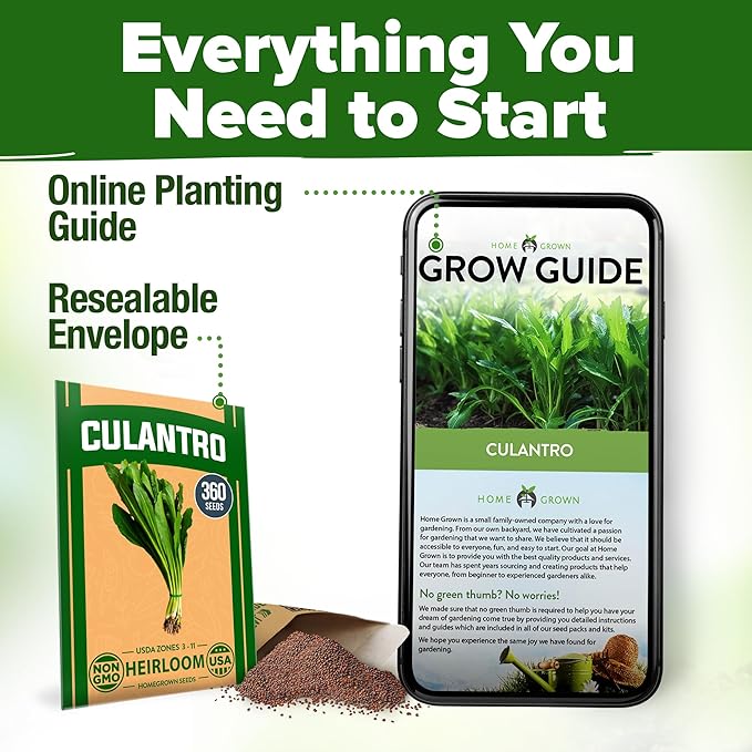 HOME GROWN Culantro Seeds 360 Herb Seeds for Planting Non-GMO Heirloom Variety, Robust Flavor, Thrives in Heat, Grows Indoors or Outdoors, Cilantro Substitute (Eryngium Foetidum)