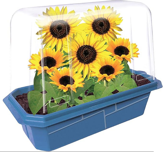 Grow Your Own Sunflower Plants, Indoor Plant Seeds Kit for Gardening Enthusiasts, Includes Everything Needed to Grow Live Happy and Cheerful Flowers, Just Add Water