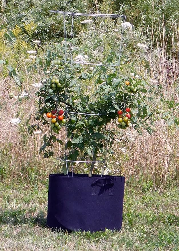 FCMP Outdoor 10-Gallon Modern Lightweight Non-Woven Insulating Fabric Breathable Grow Bags for Indoor or Outdoor Gardening, Black (5 Pack)