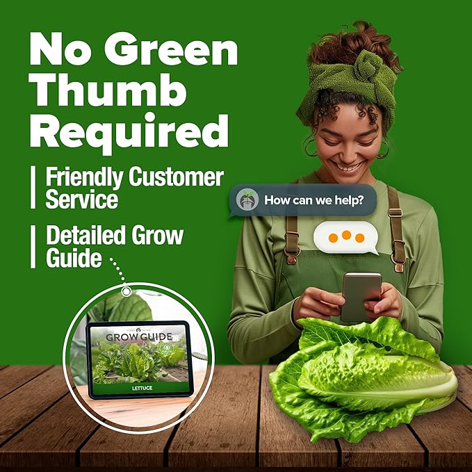 HOME GROWN Parris Island Romaine Lettuce 3,500+ High Germination Heirloom Lettuce for Planting Crisp Heads for Garden & Hydroponics, Indoor Outdoor (Lactuca Sativa)