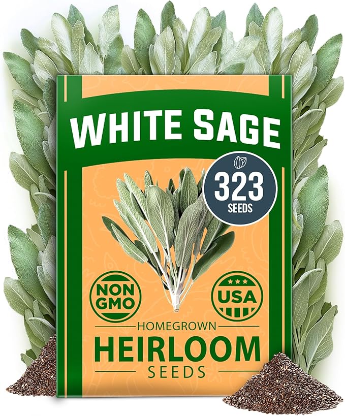 HOME GROWN White Sage Seeds 323 Pack Heirloom Seeds - Grow Aromatic Sage Plants for Your Herb Seeds Garden with Sage for Planting Outdoor or Indoor (Salvia apiana)