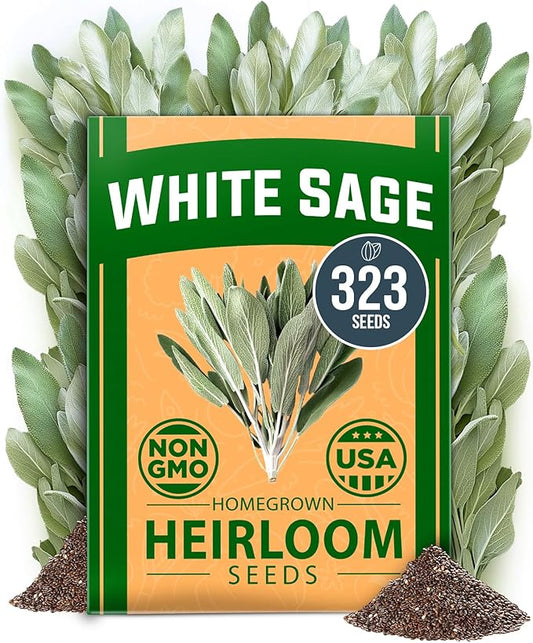 HOME GROWN White Sage Seeds 323 Pack Heirloom Seeds - Grow Aromatic Sage Plants for Your Herb Seeds Garden with Sage for Planting Outdoor or Indoor (Salvia apiana)