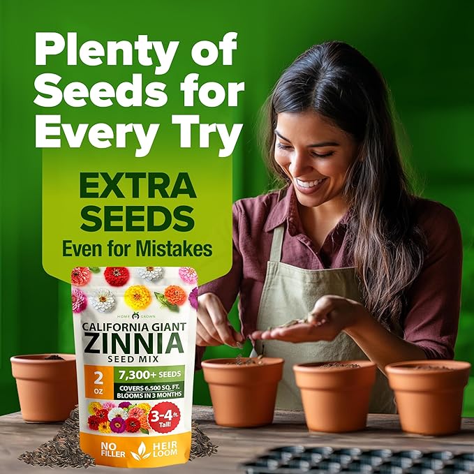 HOME GROWN Zinnia Seeds for 2026 - California Giant Mix - 7,300+ (2 oz) Non GMO Plant Wildflower Blooms – Bulk Seeds for Planting Flowers Outside - Pollinator Gardens (Zinnia elegans)