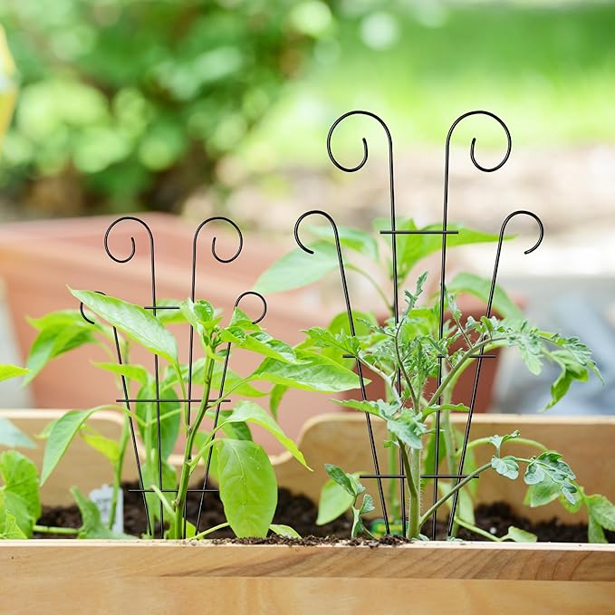 4 Pack 32'' Indoor Plant Trellis for Potted Plants Climbing, Outdoor Metal Garden Trellis Houseplants Flowers Vine Ivy,Wave Shape, Black