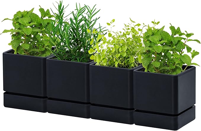 D'vine Dev 4 Inch Herb Planter Pot, Plastic Planter with Drainage Holes and Saucer, Modern Decorative Gardening Pot for Indoor Plants, Flowers, Herbs, Succulents, Black, Set of 4, 76-Y-B4-1