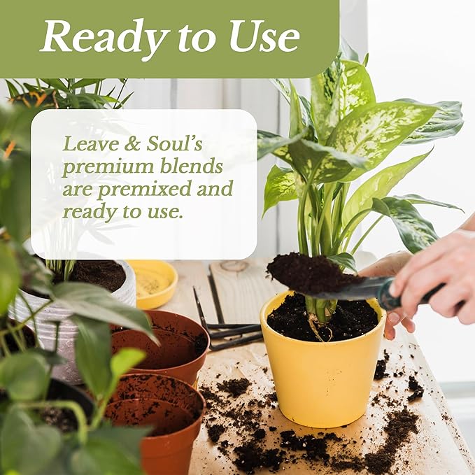 Professional Snake Plant Soil | Large 2.2 Quarts Ready to Use for Snake Plants | Peat Moss, Coco Coir, Perlite, Dolomite | Made in USA