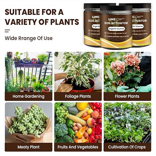 LIMETOW Premium Soil Activated Treasure - Organic Soil Activator & Plant Fertilizer for Raised Garden Beds, Potting Mix, and Seedling Compost (4Bottle)
