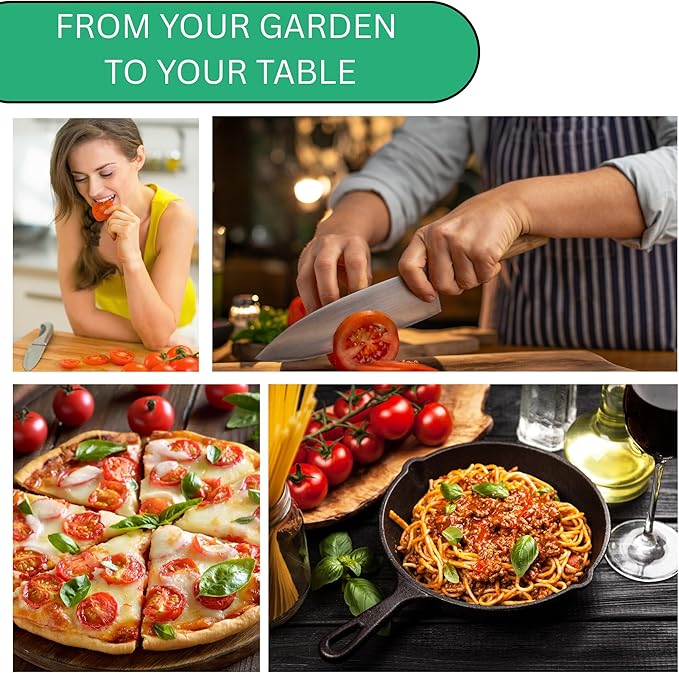Woods Creek Seeds: Large Red Cherry Tomato Seeds for Planting - Over 450 Heirloom Tomato Seeds for Planting Outdoors, Indoors, Patio or Home Plant Garden - Non-GMO Seed Pack of Tomatoes