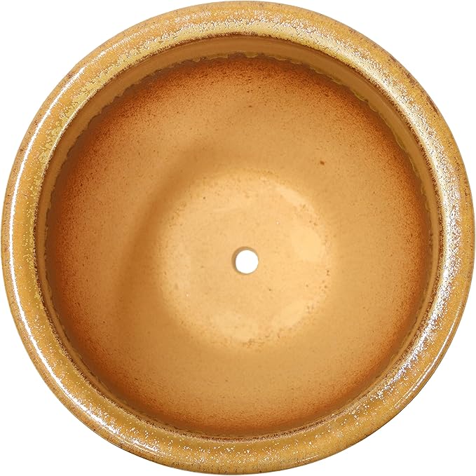 Sunnydaze Round Ceramic Planter - Set of 2 Indoor or Outdoor Plant Pots with Drainage Hole - Chalet - 12" - Forest Lake Green Glaze