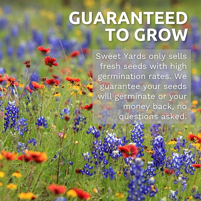 Zinnia Crazy Blend - Bulk 1/4 Pound Pouch - 15,000 Flower Seeds for Planting - Zinnia elegans