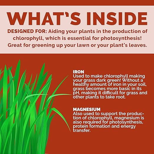 Bloom City's Organic Liquid Iron - Liquid Iron for Lawn - Chelated Iron for Plants, Gallon (128 oz)