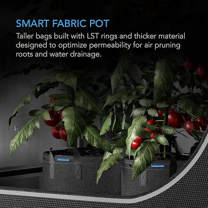 AC Infinity Heavy Duty Fabric Pots, 7 Gallon Aeration Grow Bags 5-Pack with 500G Thick Nonwoven Fabric and Multi-Purpose Rings, for Low Stress Plant Training Fruits, Vegetables, and Flowers