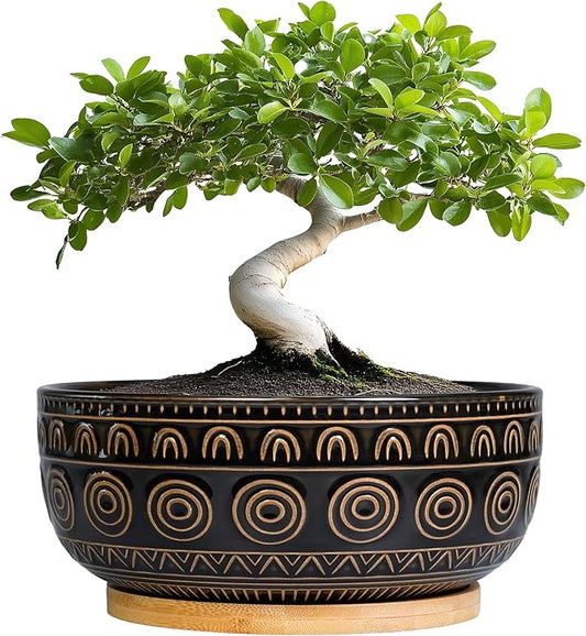 Ceramic Bonsai Pots - 8 Inch Plant Pot for Succulent, Round Planter for Indoor Plants, Shallow Planters with Drainage Hole and Tray, Boho Bonsai Bowl, Living Room Decor, Black
