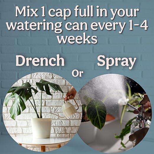Organic Liquid Kelp & Seaweed Extract (Ecklonia Maxima) Plant Super Food - Indoor Houseplant Fertilizer - Organic Fertilizer for Flowers, Seedlings & Gardens - 12oz Treats 75 Gallons