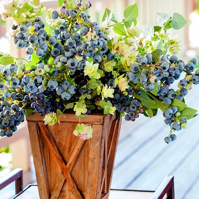 1500pcs Mixed Berry Seeds Kit for Planting (Strawberriy, Blueberry, Raspberry, Mulberry, Cranberry, Cherry Seeds Pack), Non-GMO Perennial Fruits Seeds, Home Garden Plants for Outdoors