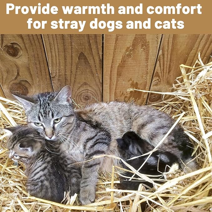 Natural Wheat Straw - 2 LB Dry Straw, Clean and Soft Decorative Straw Bale for Stray Cats Dogs Yard Farm Pets Garden Mulch Grass Cover
