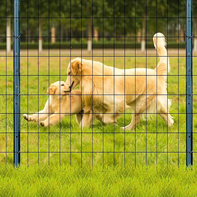 Welded Wire Fence 3ft x 50ft Mesh Size 2x3 Inch Wire Mesh Roll Chicken Wire Poultry Netting for Garden Fencing, Animal Barrier, Border Fencing (USE 4 FT Post)