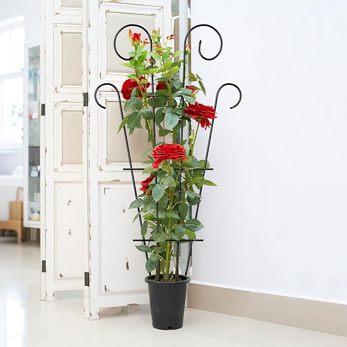4 Pack 32'' Indoor Plant Trellis for Potted Plants Climbing, Outdoor Metal Garden Trellis Houseplants Flowers Vine Ivy,Wave Shape, Black