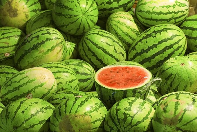 Melon Seeds Variety Pack for Planting – 4 Non-GMO Heirloom Varieties: Crimson Sweet & Sugar Baby Watermelon, Honeydew, Hale's Best Jumbo Cantaloupe – High Germination, USA-Grown Garden Fruit Seeds