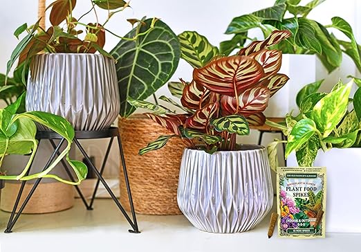 The Old Farmer's Almanac Houseplant & Flower Plant Food Mini Spikes - NPK 5-5-5 for Continuous Feeding and Vibrant Colors (24 Mini Spikes)