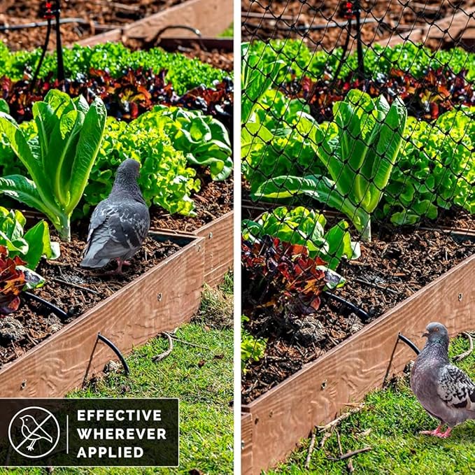 Bird-X Standard Bird Netting, Ideal for Gardens and Lightweight Applications, UV-Stabilized Mesh Netting with 3/4" Hole Opening, Easy to Install, 200' x 14'