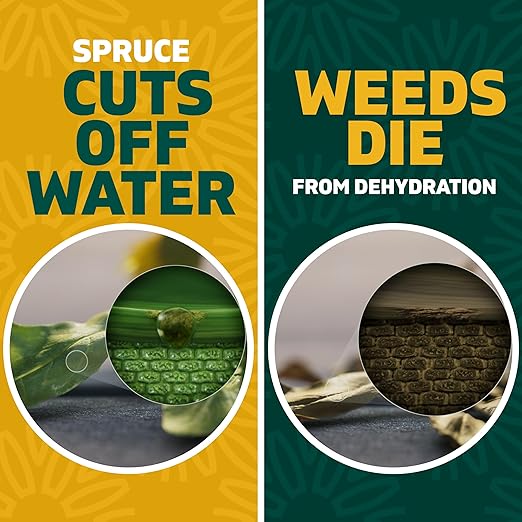 Spruce Weed Killer Spray - Snap & Spray Weed & Grass Killer₂ Powered Starter Kit - Reusable Sprayer with Wand for Spot-Treating Driveways, Gardens & More (64 Oz Bottle)