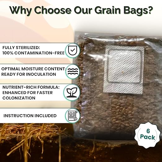 MycoHaus Mushroom Growing Kit with Injection Ports | Sterilized Rye Grain | Magic Indoor Grow Bags for Mushrooms | Home Cultivation Supplies | Without Spores | 1 Pound (6 Pack)