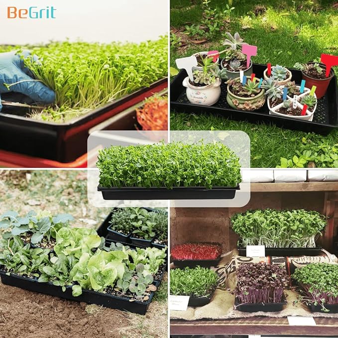 BeGrit 1020 Mesh Trays 1020 Trays with Holes Mesh Bottom Tray for Microgreen Plant Seed Germination Propagator Tray 10'' x 21'' 6-Pack