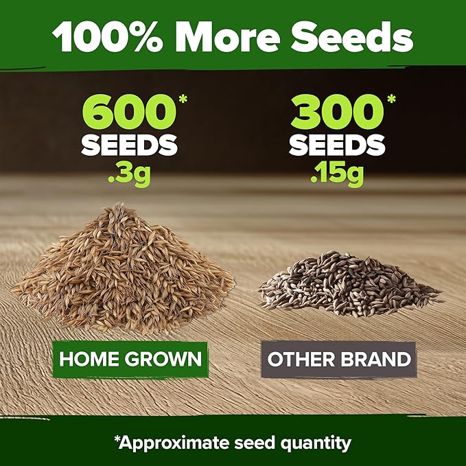 HOME GROWN Dandelion Seeds for Planting – 600 Heirloom Medicinal Herb Seeds (~0.3g) Grow Edible Leaves and Flowers for Remedies or Wildlife (Taraxacum officinale)
