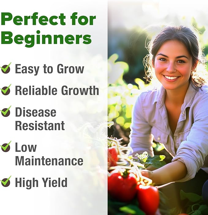 HOME GROWN San Marzano Tomato Seeds – 66 Heirloom Seeds Non GMO – High Germination Tomatoes for Indoor & Outdoor Growing – Classic Paste Variety for Gardeners & Home Use