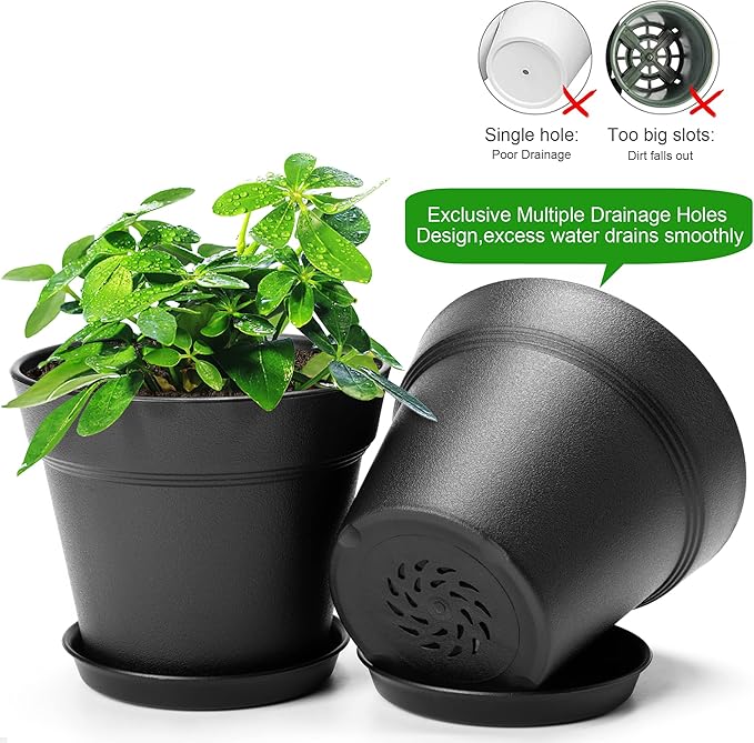4 Inch Plastic Plant Pots 6 Pack, Small Flower Pots with Drainage Holes and Tray, Thickened Indoor Planters Seedlings Nursery Pots, African Violet, Succulent and All House Plants, Black