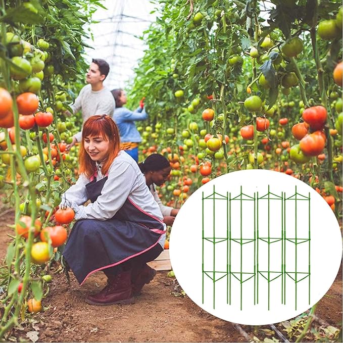 4Pack Tomato Cages Plant Cages 4ft Multifunctional Tomato Support Garden Trellis Tomato Stakes Cucumber Trellis for Vertical Climbing Plants Vegetable Flowers