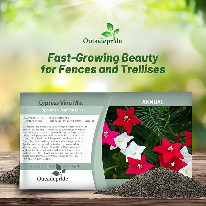 Outsidepride Mixed Cypress Vine Seeds - 100 Pcs Annual Flower Seeds with Nectar-Rich, Star-Shaped Flowers & Feathery, Fern-Like Leaves for Fences, Trellises, Pergolas & Vertical Gardens