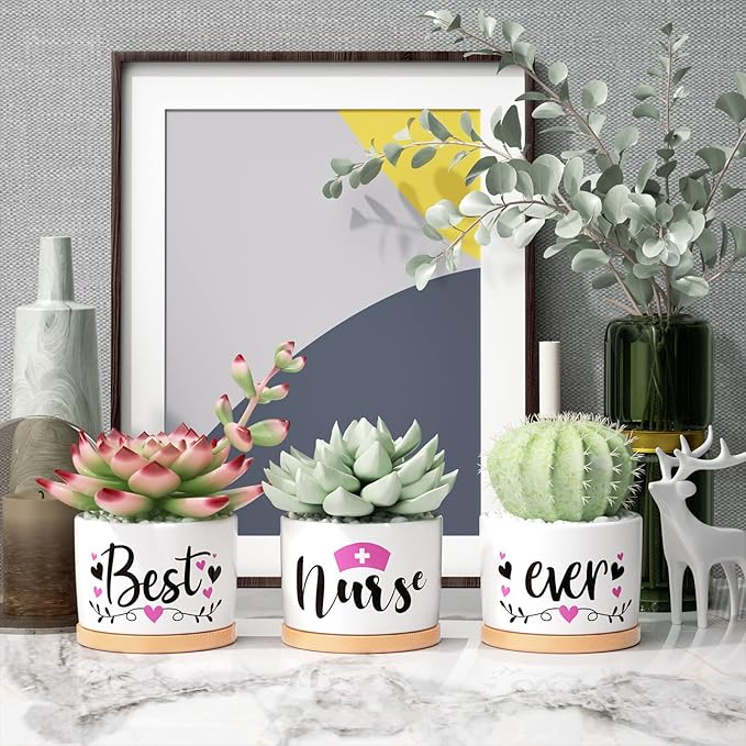 Best Nurse Gifts for Women Christmas, Funny Gifts for Nurse, Nurse Practitioner Gifts Best Nurse Ever Succulent Pots for Plants Indoor Ceramic Planter, Gift Boxed Nurses Day Gifts Nurse Birthday Gifts