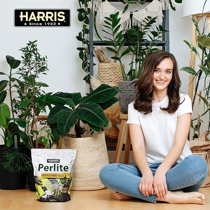Harris Premium Horticultural Grade Perlite for Plants and Gardening, 8qt