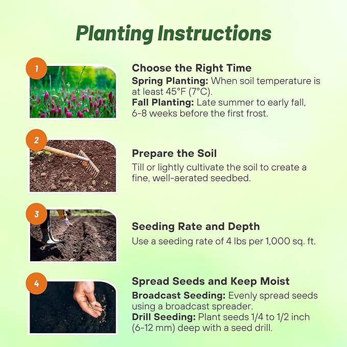 Outsidepride Gardenway Cover Crop Seeds - 50 lbs Fast Growing, Easy to Establish, Nutrient-Rich Mix for Soil Health & Home Gardens - Mixture of Triticale, Peas, Vetch, Annual Ryegrass, Crimson Clover