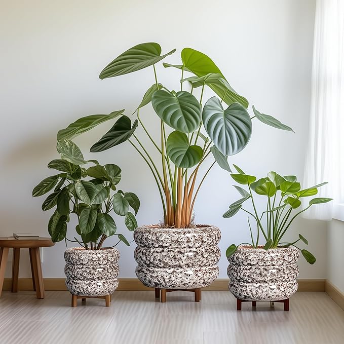 SQOWL Ceramic Pots for Plants - 10 Inch Plant Pot with Drainage Hole, Ceramic Planter for Indoor Plants, Round Flower Pots Outdoor, Modern Planter, House Home Room Decor, Gifts for Plant Lover, White