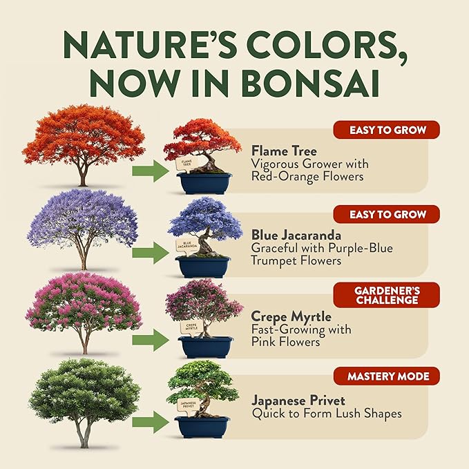 HOME GROWN Bonsai Tree Starter Kit – Unique Christmas Gift for Adults, Men & Women - Grow 4 Indoor Bonsai Trees from Seeds – Beginner DIY Crafts & Hobby Kit Gardening Gift for Plant Lovers, Mom & Dad