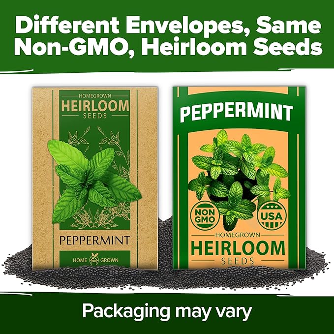 HOME GROWN Peppermint Seeds Pack – 2,370 Heirloom Mint Seeds for Planting. Grow Peppermint Plants in Your Herb Garden Indoors or Outdoors (Mentha x piperita)