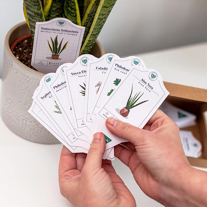 Bubblegum Stuff - Houseplant Care Tags - 30 Plant Species | Indoor Plants - Home Accessories | 100% Recycled Paper - Dimensions 13.7x6cm…