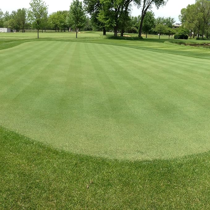 Outsidepride V8 Creeping Bentgrass Seed - 5 lbs. Fine-Bladed, Premium Quality Turf, Grass Seeds for Smooth Surface, & High-Traffic Areas, Ideal Grass for Golf Courses Putting Greens, & Fairways