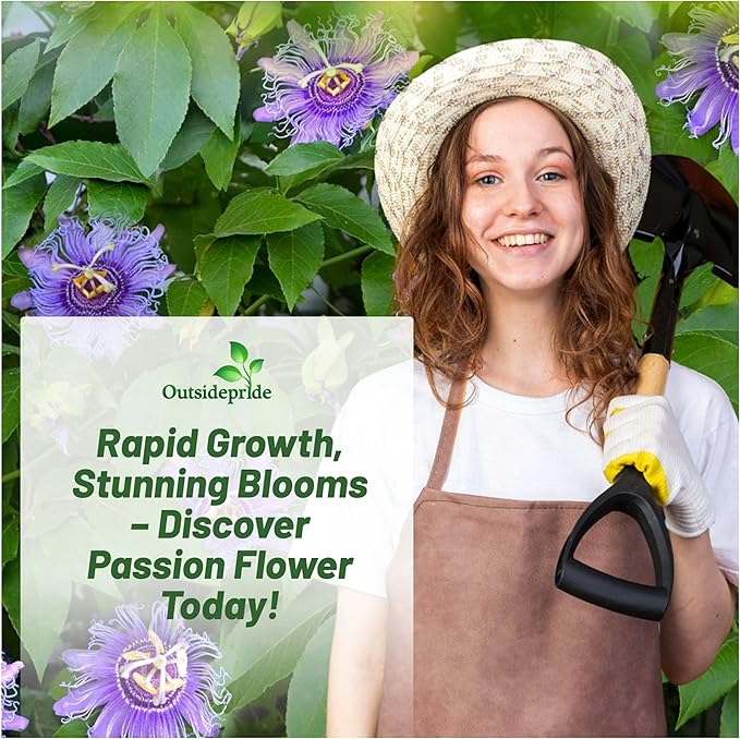 Outsidepride Passion Flower Seeds - 50 Pcs. Perennial, Fast-Growing & Pollinator Friendly, Flower Seeds for Planting Tall, Fragrant & Vibrant Star-Shaped Blooms for Trellises, Fences & Arbors