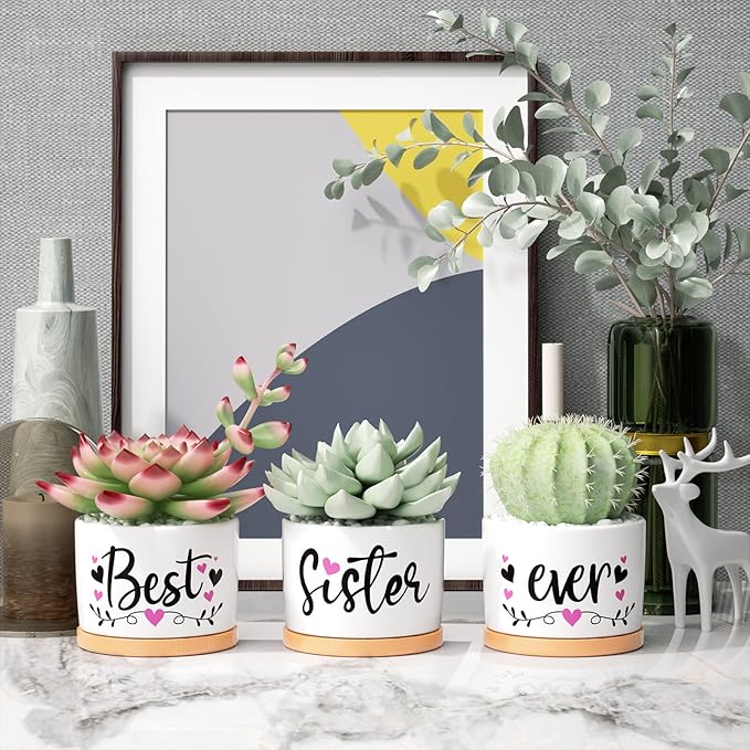 Christmas Sisters Gifts from Sister, Best Gifts for Sister from Brother, Best Sister Ever Ceramic Succulent Pots for Plants Indoor, Gift Boxed Thanksgiving Birthday Gifts for Sister in Law Soul Sister