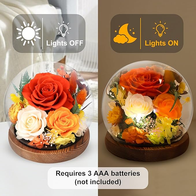 Preserved Flowers In Glass Dome, Eternal Flowers, Forever Flower, Birthday Gifts for Women, Gifts for Mom Girlfriend Her Friendship, Home Decor Bedroom Living Room (Terracotta)