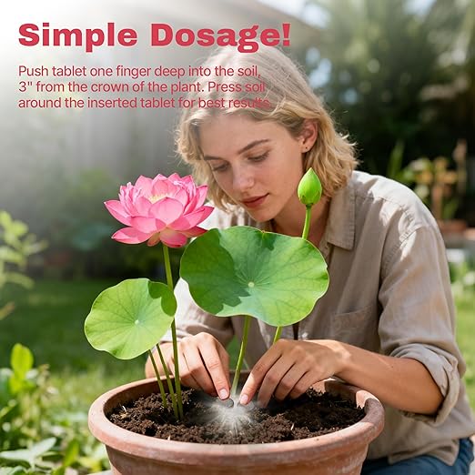 Aquatic Plant Fertilizer for Water Lily and Lotus, Lotus Fertilizer-Fish Friendly, Water Lily Fertilizer Tablets- Supports Lily and Lotus Blooming & Root Growth, Aquarium Plant Food-100 Tablets