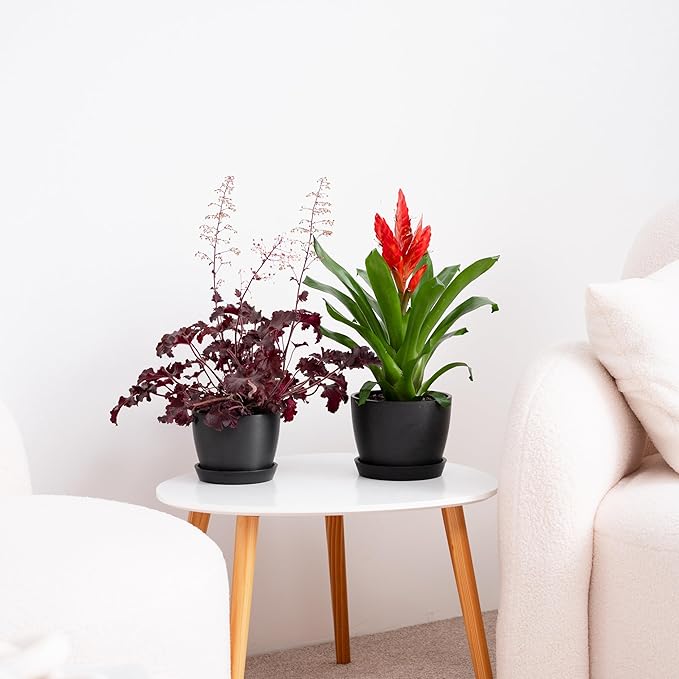 UNBREAKABLE Plant Pots Set of 2, Advanced Eco-Poly Planters with Drainage & Saucers, 6.5" + 5.5" Plastic Pots - Designer Indoor & Outdoor Décor and a Great Gift for Plant Lovers - Marin Night Black