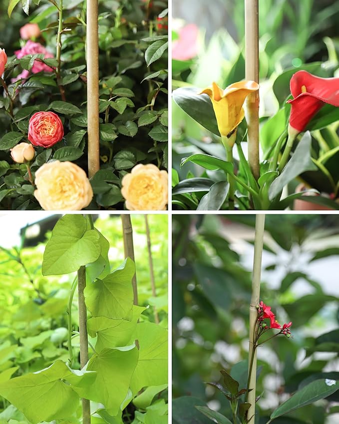 4ft Natural Bamboo Plant Stakes for Tomatoes, Beans, Flowers, Potted, Climbing Plants 25pcs