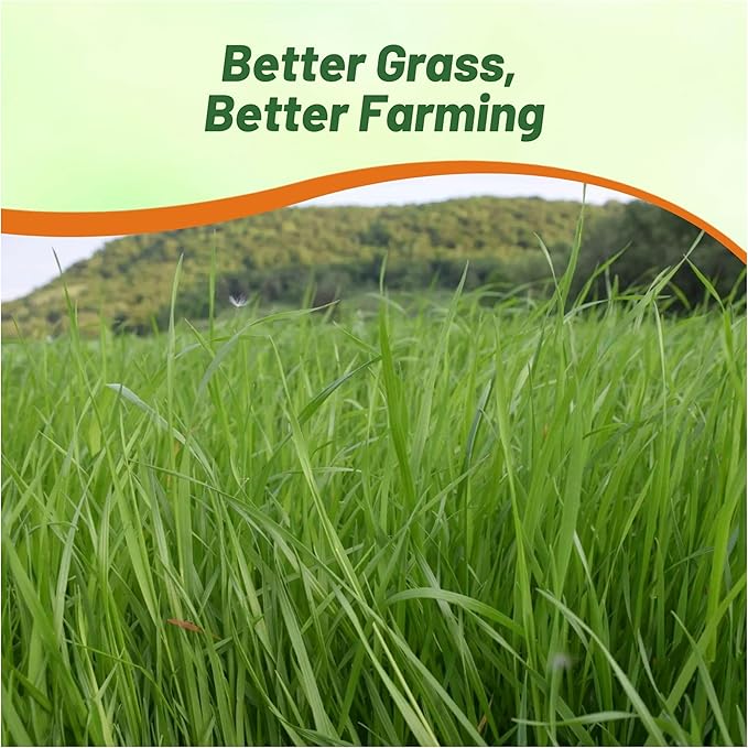 Outsidepride Ryegrass Seeds - 50 lb. Annual, Hardy & Fast-Growing, Cover Crop Seeds for Planting Glossy Dark Green Grass Leaves, Ideal for Hay Foraging, Pasture Grazing & Erosion Control