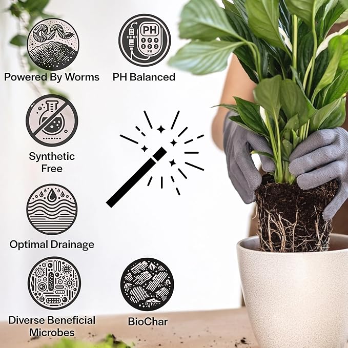 Craft Organic Houseplant Potting Mix, Elite House Plant Soil, Chunky, Well Draining Potting Soil for All Indoor Plants, Tropical Plants & Flowers, Sustainable & Peat Free, Less Prone to Gnats, 2QT