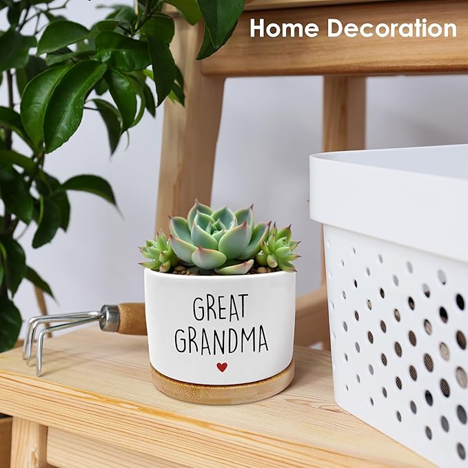 Great Grandma Gifts Plant Pots, Gifts for Great-Grandma Succulent Planters, Great Grandmother Gift Ceramic Plant Flower Pots for Home Office Desk Table Shelf(No Plants)